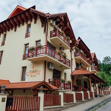 Pensiunea Comfort Совата Екстериор снимка