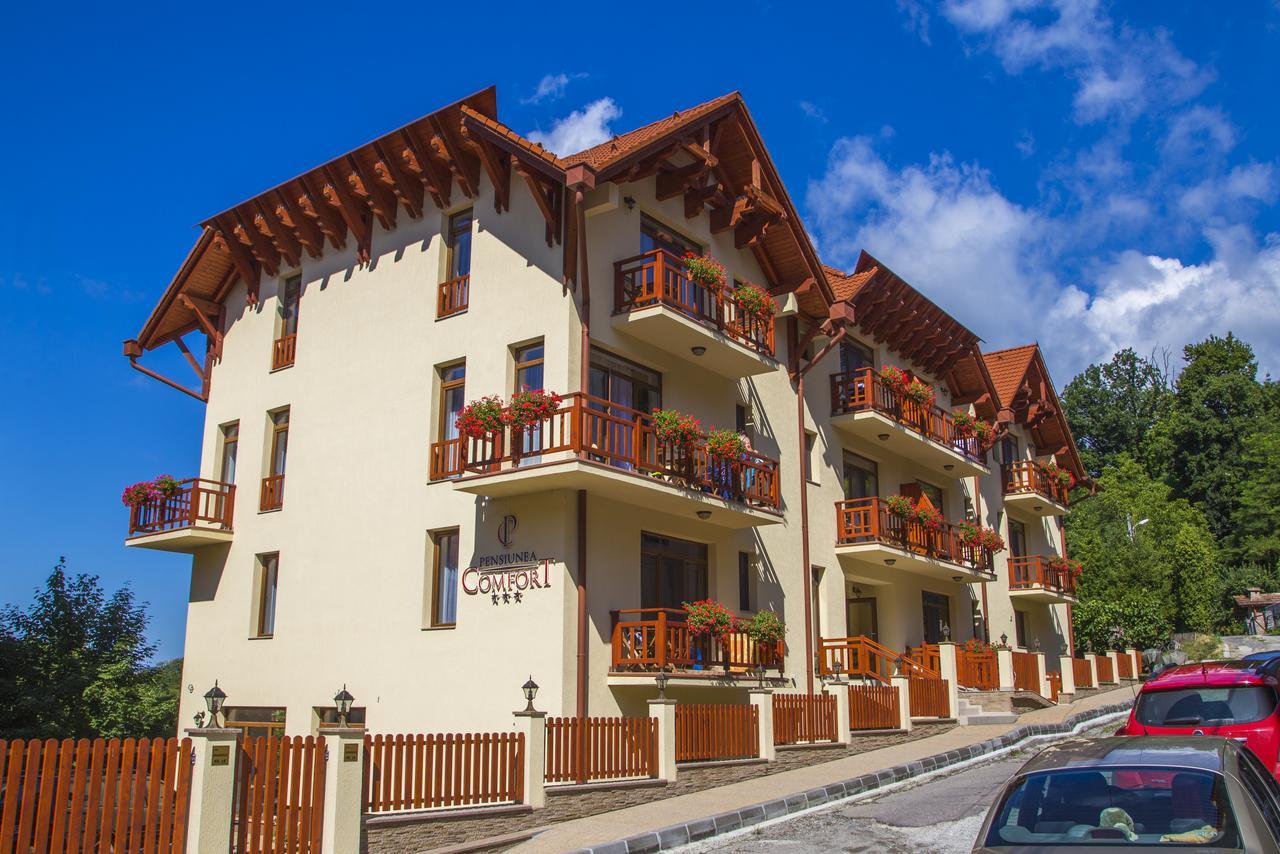 Pensiunea Comfort Совата Екстериор снимка